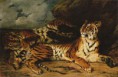 /album/fotogaleria/young-tiger-playing-with-its-mother-jpg/